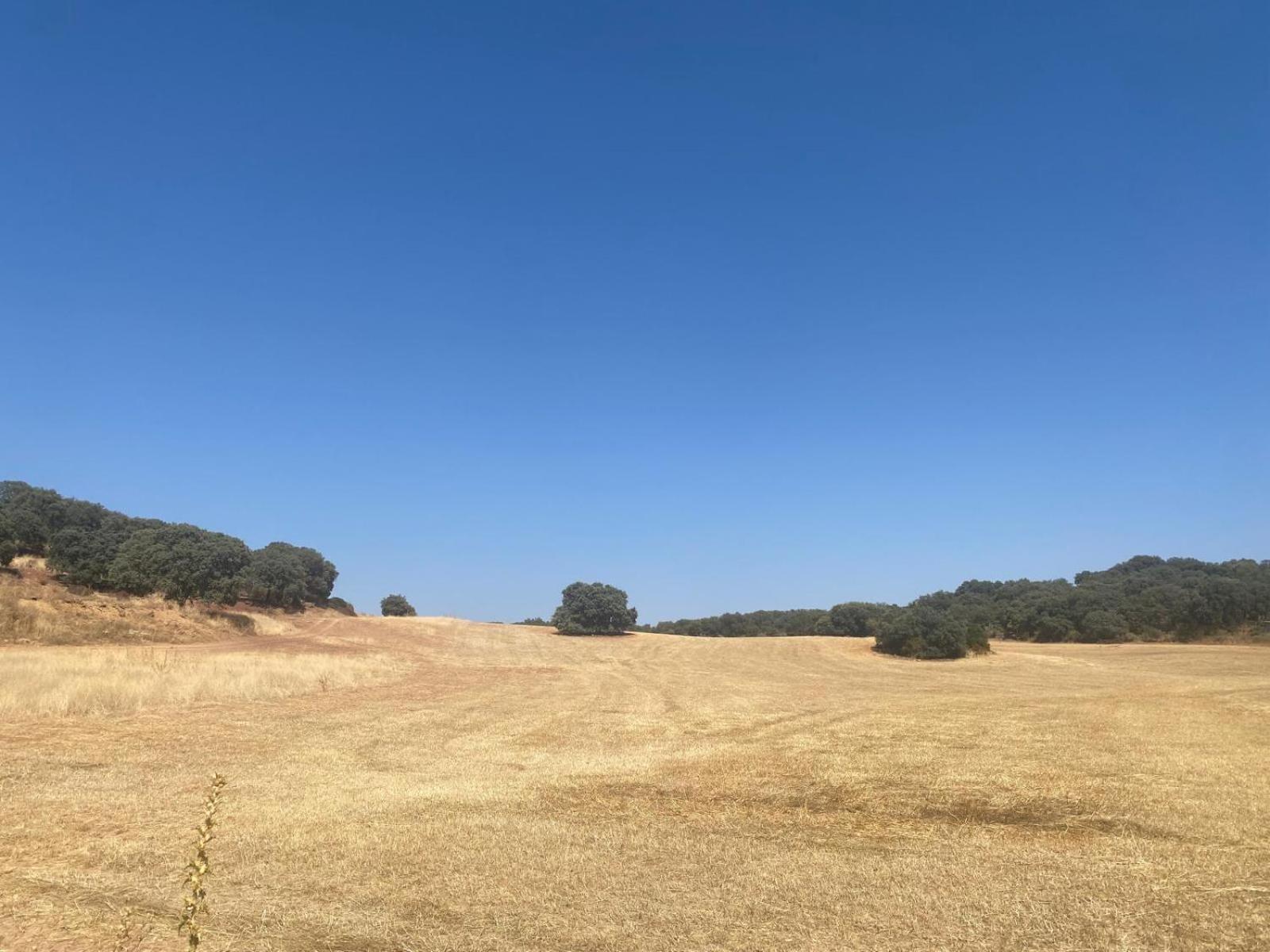 Casa Rural El Contarin - An Andalusian Escape, Archidona, Malaga 外观 照片