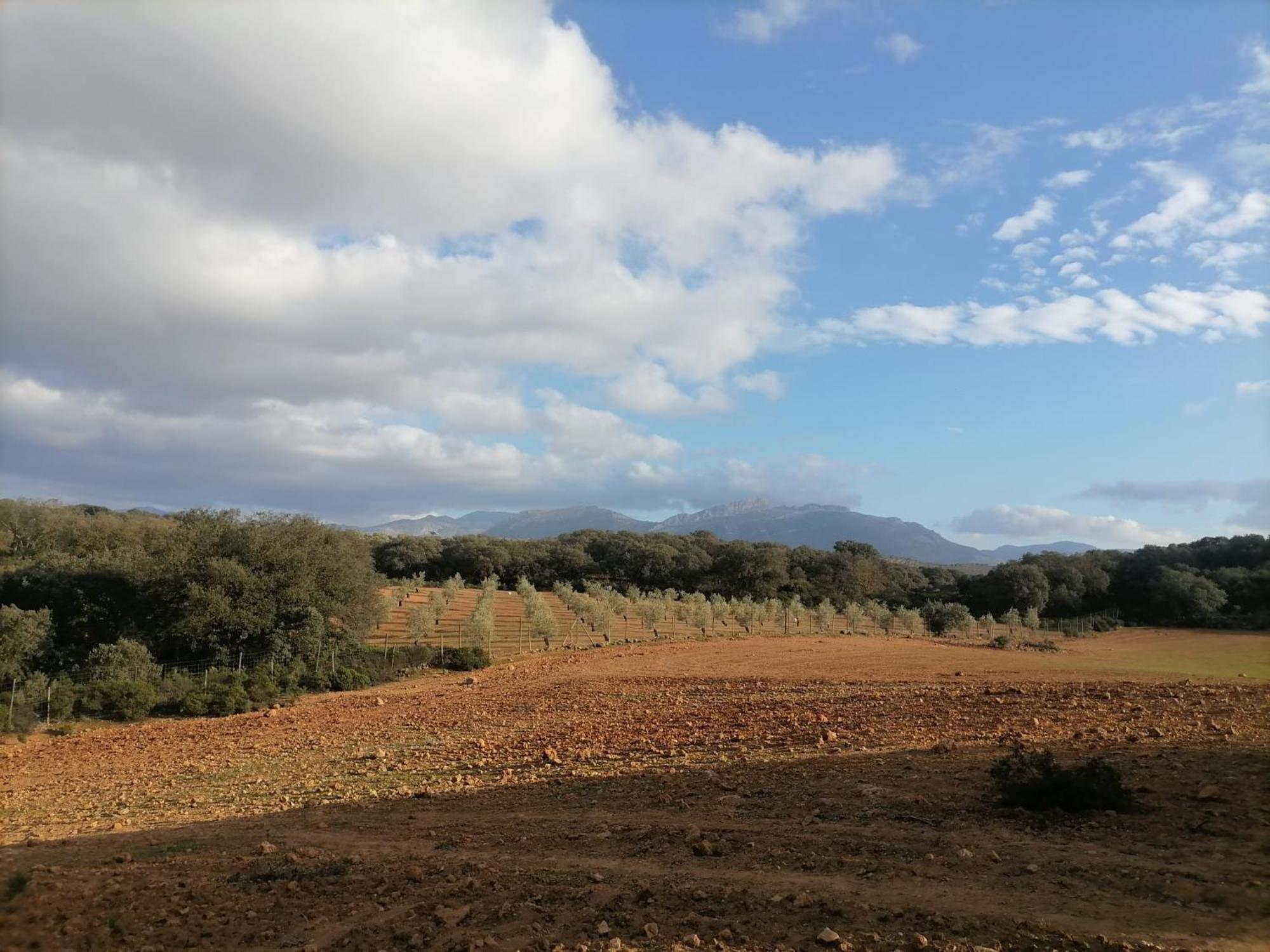 Casa Rural El Contarin - An Andalusian Escape, Archidona, Malaga 外观 照片